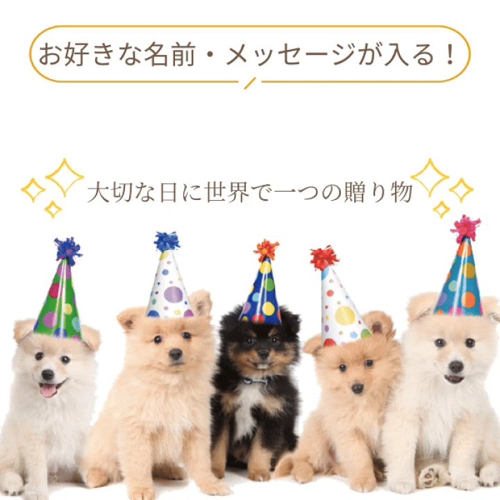 オーダー受付　クッキーわんこ　ご予約ページ　8/18 オーダー受付 クッキーわんこ ご予約ページ 8/18