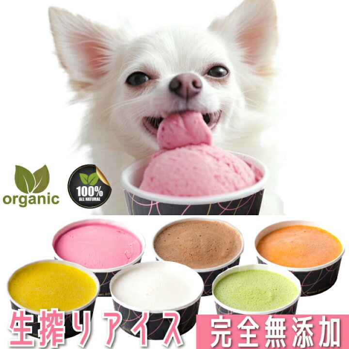 楽天市場】犬用アイスクリーム 無添加 国産 ヒューマングレード 熱中症 