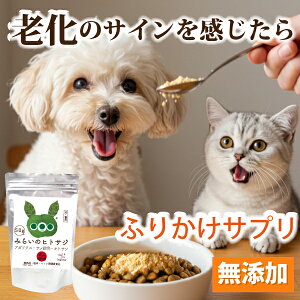 yj[ASALEz L Tvg VjA V VL  L Y Y L@ Tv Ɖu ֐ ̑ ̗ PA V ΍ i` q[}O[h AKNX T