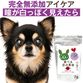 【獣医師の93%が支持】 食べる目の革命 お試し7g 犬・猫の瞳の白さ・濁り・目やにが気になる子に ご飯にかけるだけの完全無添加 粉末 アイケアサプリ マキベリー・ルテイン・アスタキサンチン(旧商品名 食べる目薬革命)
