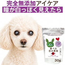 【獣医師の93%が支持】 食べる目の革命 30g 犬・猫の瞳の白さ・濁り・目やにが気になる子に ご飯にかけるだけの完全無添加 粉末 アイケアサプリ マキベリー・ルテイン・アスタキサンチン(旧商品名 食べる目薬革命)