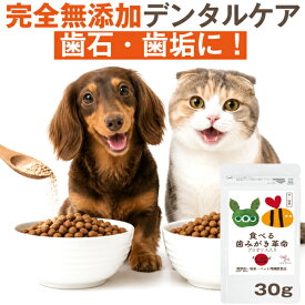 【獣医師推奨】犬 歯磨き サプリ 食べる歯磨き革命 30g 犬 口 臭い 歯石 猫 歯磨き デンタルケア 歯垢 口腔ケア 無添加 歯磨き粉