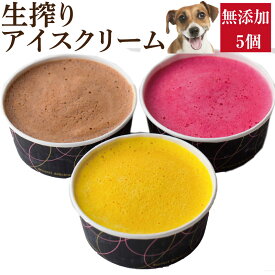 犬用 アイス(犬・生搾り・アイスクリーム 5個)無添加 犬の水分補給【クール便】