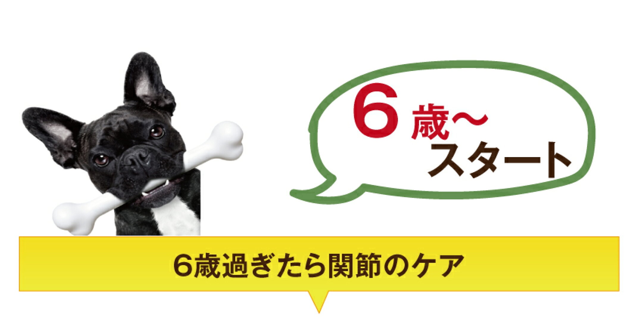 6歳過ぎたら骨のケア