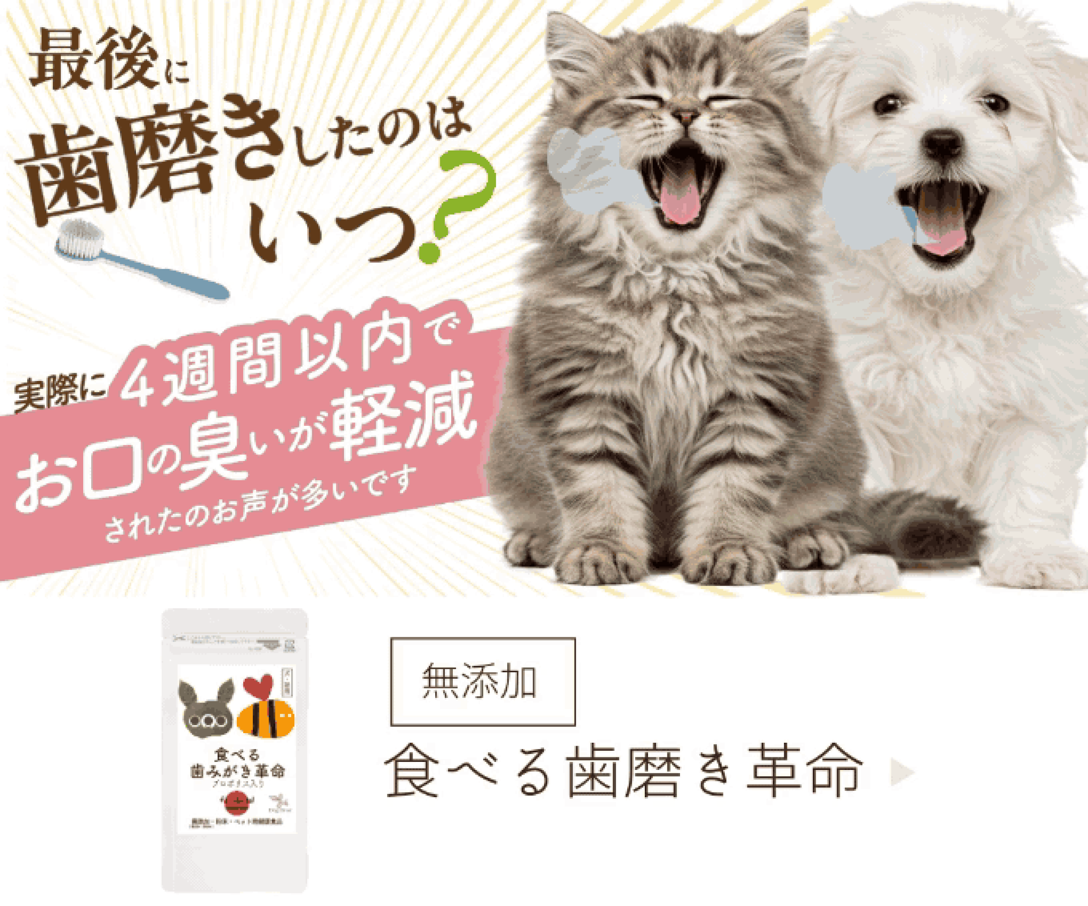 食べる歯磨き革命