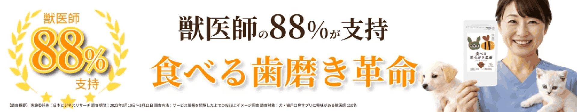 歯磨き革命