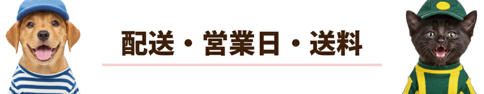 送料に関して