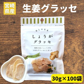 しょうがグラッセ 30g×100袋 業務用 大口 祭事用 宮崎県産 しょうが使用 須木特産 九州 生姜 グラッセ 砂糖 甘露煮 渋皮煮 生姜砂糖 生姜糖 しょうが糖 ドライフルーツ 砂糖菓子 お菓子 おやつ 駄菓子セット 駄菓子詰合せ 駄菓子 和菓子 洋菓子 贈り物 ギフト