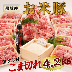 ē ܐ؂ 4.2kg 350g×12pbNؓܐ؂ {Y {茧 s  K  Ⓚ ss sY   Y ؓ 4kg ؂ ؃R} Y Zbg Ԑ؂ O Mtg 
