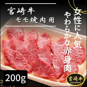 {苍 ē 200g   ēp 1`2lO {茧Y {茧 ss s Y јa Ԑg  ēp  Ⓚ N[ S Mtg v[g 蕨 4000~