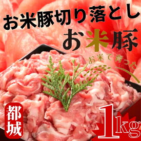 『大容量』お米豚 切り落とし 1kg 訳あり価格 宮崎県産 都城市 産 ブランドポーク ブランド豚 豚こま 切り落とし肉 100% 国産豚肉 豚こま切れ 九州産 国産 切落し 豚コマ 冷凍 bbq バーベキュー メガ盛り おこめ豚 豚小間 豚肉