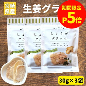 ＼お買い物マラソン限定【P5倍】／しょうがグラッセ 30g×3袋 生姜 お菓子 宮崎県産 しょうが使用 須木特産 九州 生姜グラッセ 砂糖 甘露煮 渋皮煮 生姜砂糖 生姜糖 しょうが糖 ドライフルーツ 砂糖菓子 おやつ 駄菓子セット 駄菓子詰合せ 駄菓子 和菓子 洋菓子