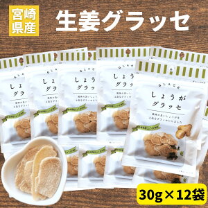 傤ObZ 30g×12 {茧Y 傤gp {ؓY B I ObZ  ØI Y hCt[c WW[eB[  I 傤 VEK I َq Ђ 