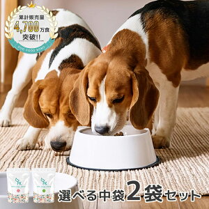 y hbOt[hH[zhbOt[h Y Y n { ؔ  sgp Iׂ钆 2܃ZbgbIRf VRH h{H hCt[h ybgt[h bt S