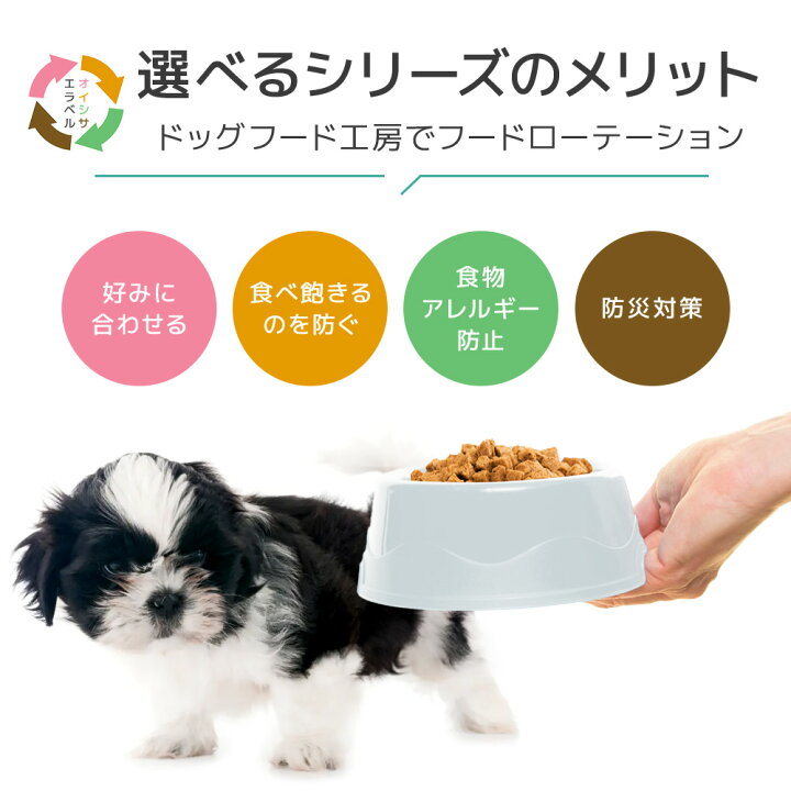 楽天市場】【公式 ドッグフード工房】ドッグフード 無添加 国産 馬肉 