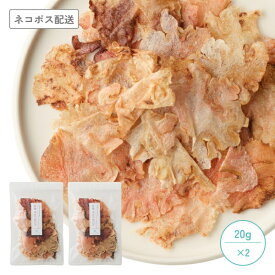 【公式 ドッグフード工房】 犬 おやつ 無添加 国産 特選 本鰹 パフ 20g 2袋 セット ｜ 鰹 カツオ かつお 魚 ヘルシー 健康 低カロリー 保存料不使用 防腐剤不使用 犬用 猫用 大容量
