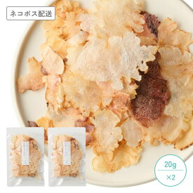 ［楽天スーパーSALE］［P10］ 【公式 ドッグフード工房】 犬 おやつ 無添加 国産 特選 鮪 パフ 20g 2袋 セット ｜ まぐろ マグロ ツナ 魚 ヘルシー 低カロリー 保存料不使用 防腐剤不使用 柔らかい 犬用 猫用 大容量
