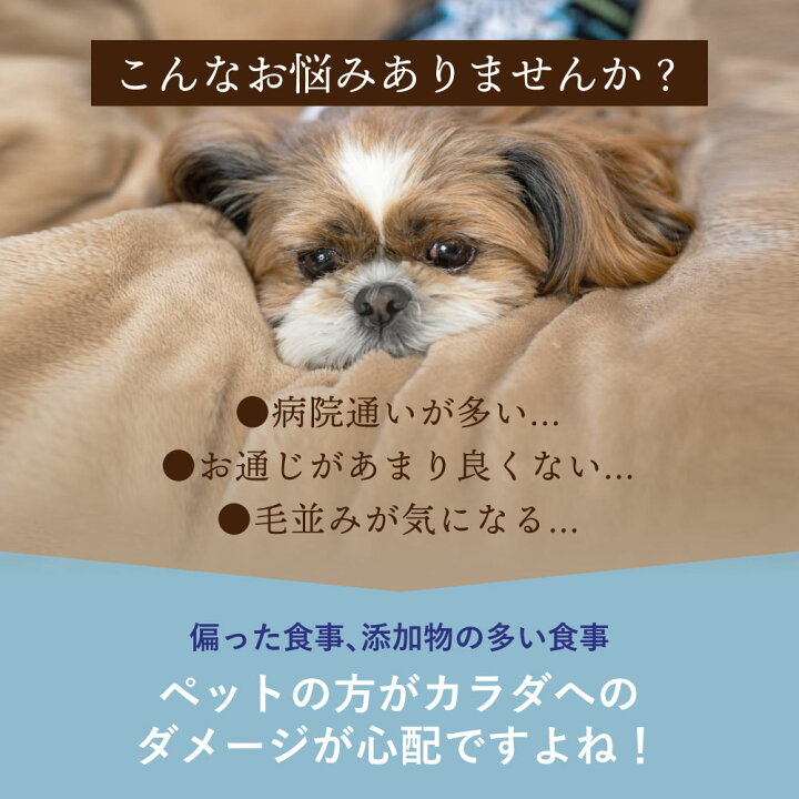 楽天市場 送料無料 無添加 国産 ドッグフード工房 選べる2kg 2袋セット 馬肉 鶏肉 野菜畑 組み合わせ自由 全犬種 小型犬 成犬 ごはん 犬用 老犬 超小型犬 中型犬 大型犬 ドッグフード ペットフード 犬 アレルギー 餌 低脂肪 アダルト 食物繊維 シニア ドックフード