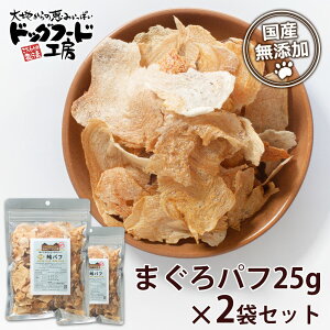 y hbOt[hH[z   Y Y I  pt 25g 2 Zbg b ܂ }O ci  wV[ J[ ۑsgp hܕsgp _炩 p Lp e