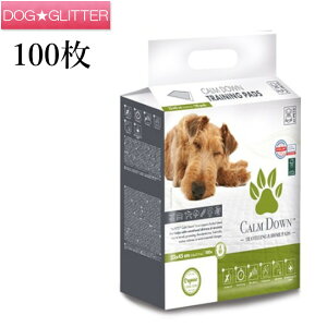 Gybc J[_EybgV[c M[TCY 100