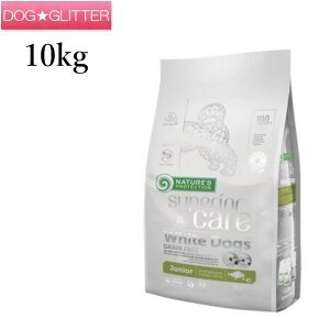 lC`[YveNV X[yAPA zCghbO OCt[ zCgtBbVWjA 10kg y