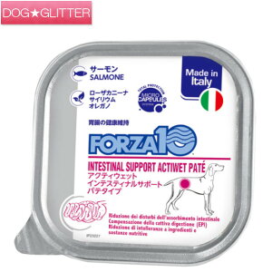フォルツァディエチ ドッグフード アクティウェット インテスティナル サーモン 100g成犬用 胃腸 ウェットフード ウエットフード インテスティナルサポート パテタイプ フォルツァ10 FORZA10