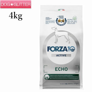 フォルツァディエチ エコーアクティブ ミディアム 4kg犬用 中粒 ドッグフード ドライフード フォルツァ10 FORZA10