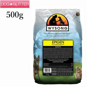 C\ GsWF 500g×10p Lp hbOt[h Lbgt[h hCt[h Wysong