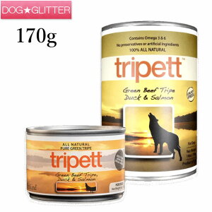 ybgJCh gCybg O[r[tgCv _bNT[ 170gp hbOt[h EFbgt[h S SN ʐH PetKind