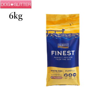 tBbV4hbO t@ClXg ps[ 6kgp c hbOt[h  hCt[h FISH4DOGS