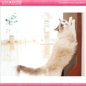 mju ミューガリガリウォール スクラッチャー【HLS_DU】【あす楽】