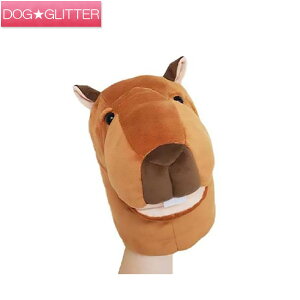 xXgGo[ nhpybg Jsop  hbOgC ʂ Bestever