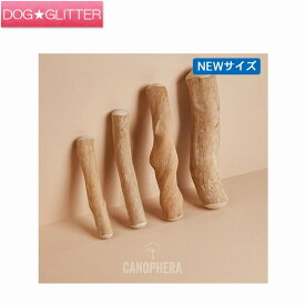 キャノフィラ デンタルチュースティック サイズ：XXS犬用 木製おもちゃ ドッグトイ デンタルトイ CANOPHERA
