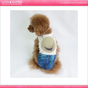 yCooCouture cool×coolplus2017zN[N`[@N[×N[vX ڂ^N[^`^p]yyz