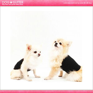 CooCouture 2017 N[N`[ ewc jeoh[^`^p]