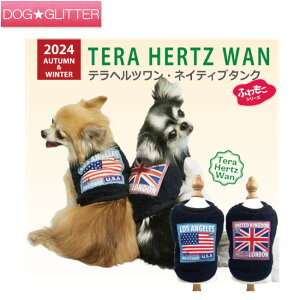 u2024N10{牺{\vN[N`[ ewc lCeBu^Np  m hbOEFA H~ VjA  Nێ ۂۂ g CooCouture TeraHertzWan AutumnWint