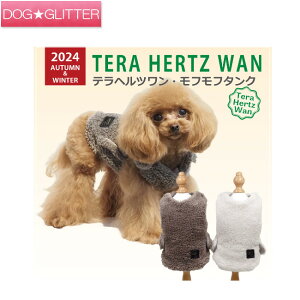 N[N`[ ewc tt^Np  m hbOEFA H~ VjA  Nێ ۂۂ g CooCouture TeraHertzWan AutumnWinter2024