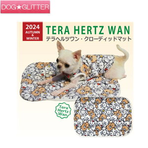 u2024N10{牺{\vN[N`[ ewc N[fBbh}bgp JtF}bg H~ VjA  Nێ {An ۂۂ g CooCouture TeraHertzWan Autumn