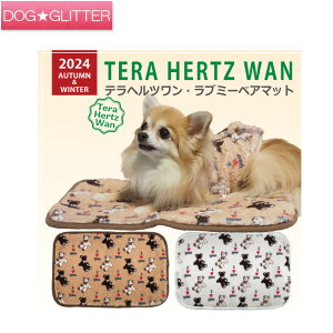 u2024N10{牺{\vN[N`[ ewc u~[xA}bgp JtF}bg H~ VjA  Nێ {An ۂۂ g CooCouture TeraHertzWan AutumnWi