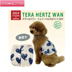 N[N`[ ewc VF[xNeohBOYp j̎qp  H~ VjA  Nێ ۂۂ g CooCouture TeraHertzWan AutumnWinter2024