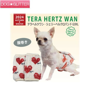 u2024N11{ח\vN[N`[ ewc VF[xNohGIRLp ̎qp  H~ VjA  Nێ ۂۂ g CooCouture TeraHertzWan AutumnWinter2024