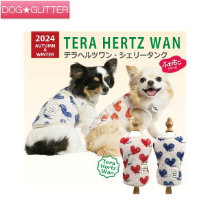 N[N`[ ewc VF[^Np  m hbOEFA H~ VjA  Nێ ۂۂ g CooCouture TeraHertzWan AutumnWinter2024