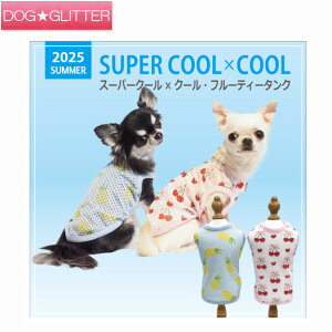 N[N`[ X[p[N[×N[ t[eB[^N ̕ t j̎q ̎q ^Ngbv hbOEFA  킢 ≷ObY ⊴f CooCouture supercool×coolplus2025