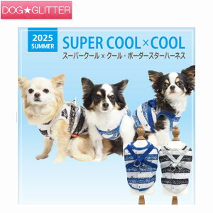 N[N`[ X[p[N[×N[ {[_[X^[n[lX ̕ t j̎q ̎q n[lX  킢 ≷ObY ⊴f CooCouture supercool×coolplus2025