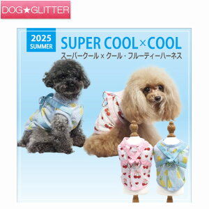 N[N`[ X[p[N[×N[ t[eB[n[lX ̕ t j̎q ̎q n[lX  킢 ≷ObY ⊴f CooCouture supercool×coolplus2025