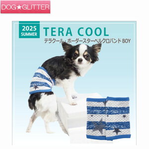 N[N`[ eN[ xNeoh {[_[X^[xNohBOY^ j̎qp t   킢 ≷ObY ⊴f CooCouture TERACOOL2025