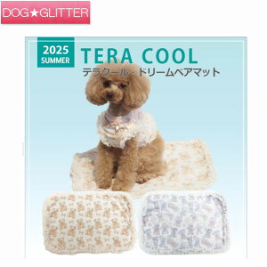 N[N`[ eN[ h[xA}bg^ ^ t V[g JtF}bg  킢 ≷ObY ⊴f CooCouture TERACOOL2025