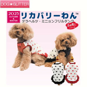 N[N`[ ewc ~jt^Np  m hbOEFA H~ VjA  Nێ ۂۂ g ewc Jo[ CooCouture2025 AutumnWinter