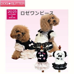 N[N`[ [s[Xp  m hbOEFA H~ CooCouture2025 AutumnWinter