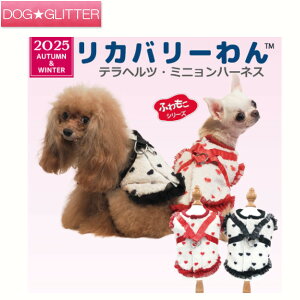 N[N`[ ewc ~jn[lXp  ̕ j̎q ̎q t wă{A  킢  VjAɂ ewc Jo[ H~ CooCouture2025 Autumn